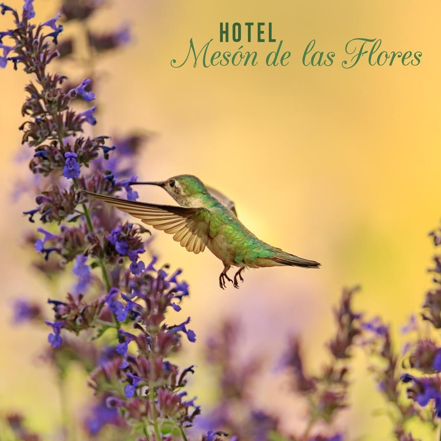 Hotel Meson De Las Flores Armenia  Εξωτερικό φωτογραφία