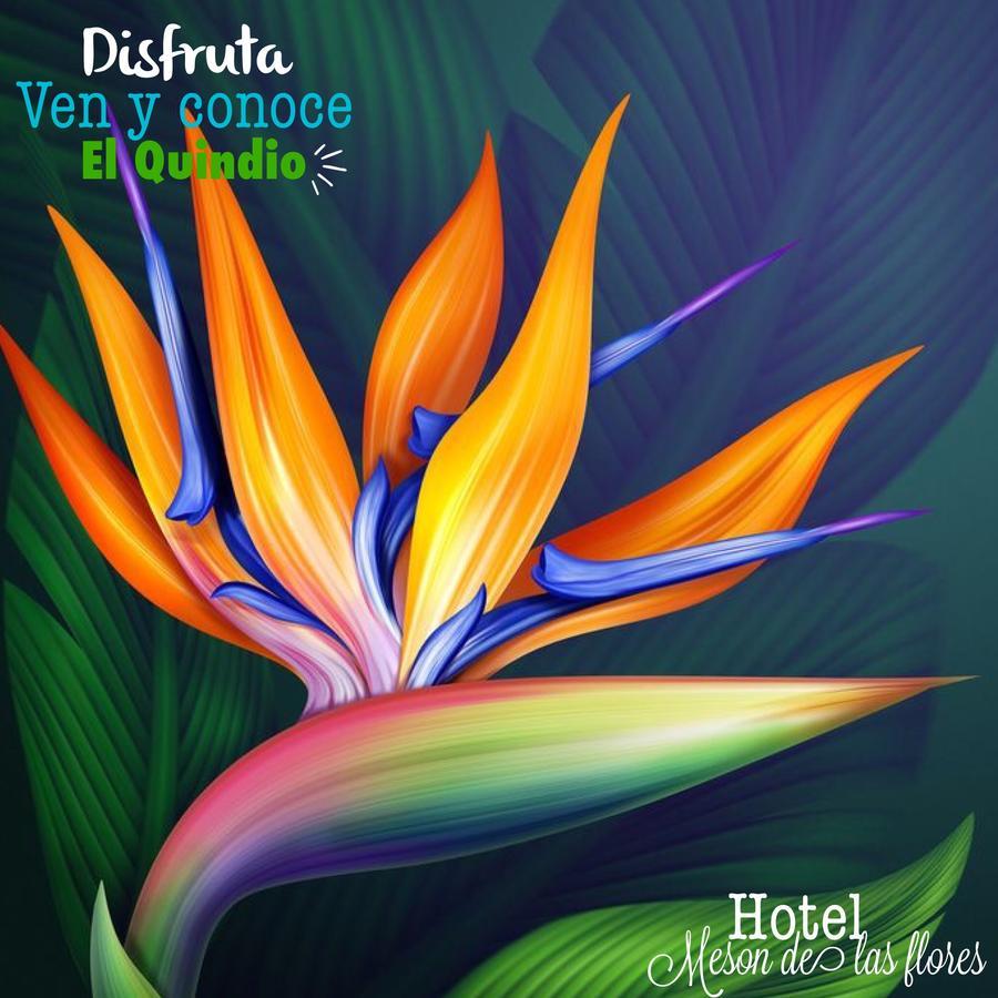 Hotel Meson De Las Flores Armenia  Εξωτερικό φωτογραφία